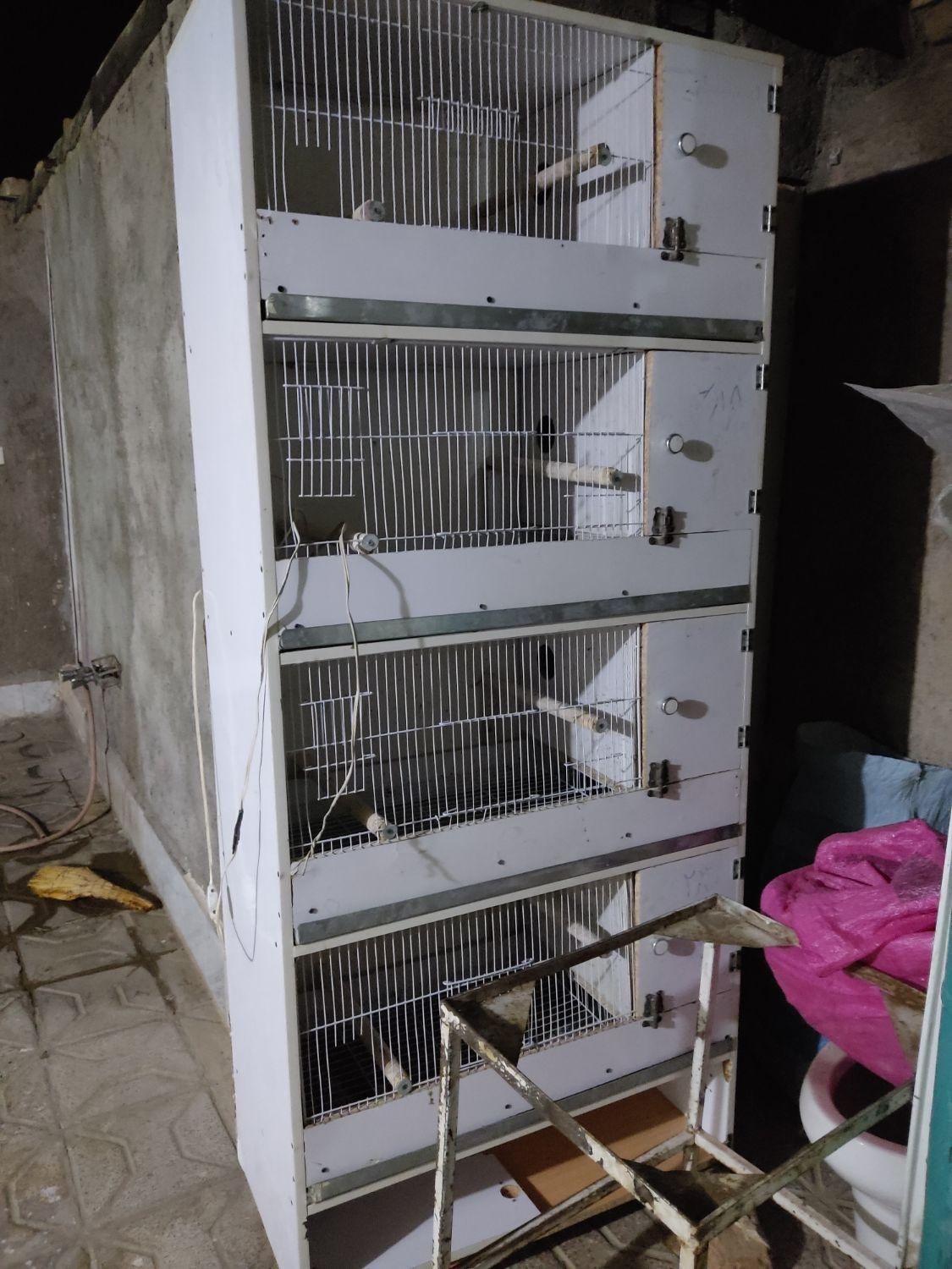 کمد پرنده|لوازم جانبی حیوانات|مشهد, کوی المهدی|دیوار