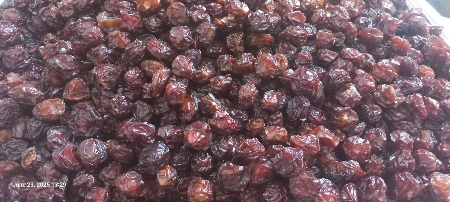 آلوچه درشت و ملس|خوردنی و آشامیدنی|مشهد, امیر|دیوار