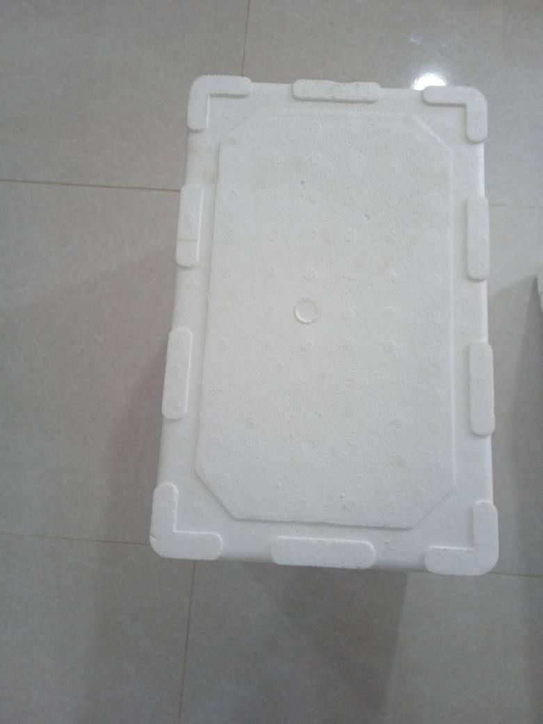 چوب پنبه|کوهنوردی و کمپینگ|بندرعباس, |دیوار