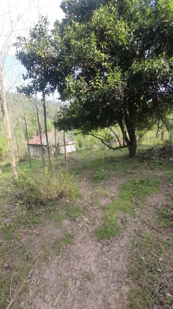 فروش زمین ۶۸۰ متری مسکونی در روستای گنجار|فروش زمین و ملک کلنگی|احمدسرگوراب, |دیوار