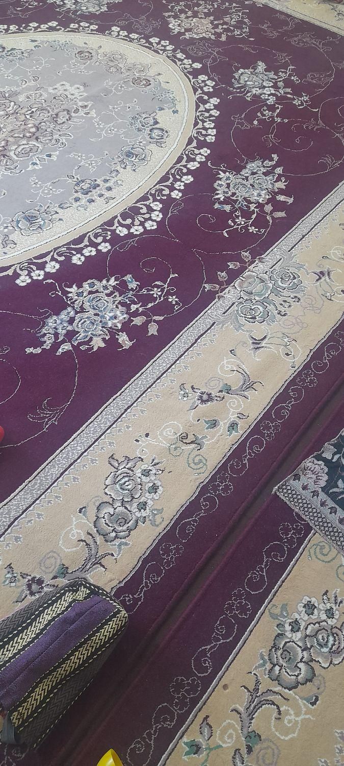 سلام قالی کار کرده|فرش|ایذه, |دیوار