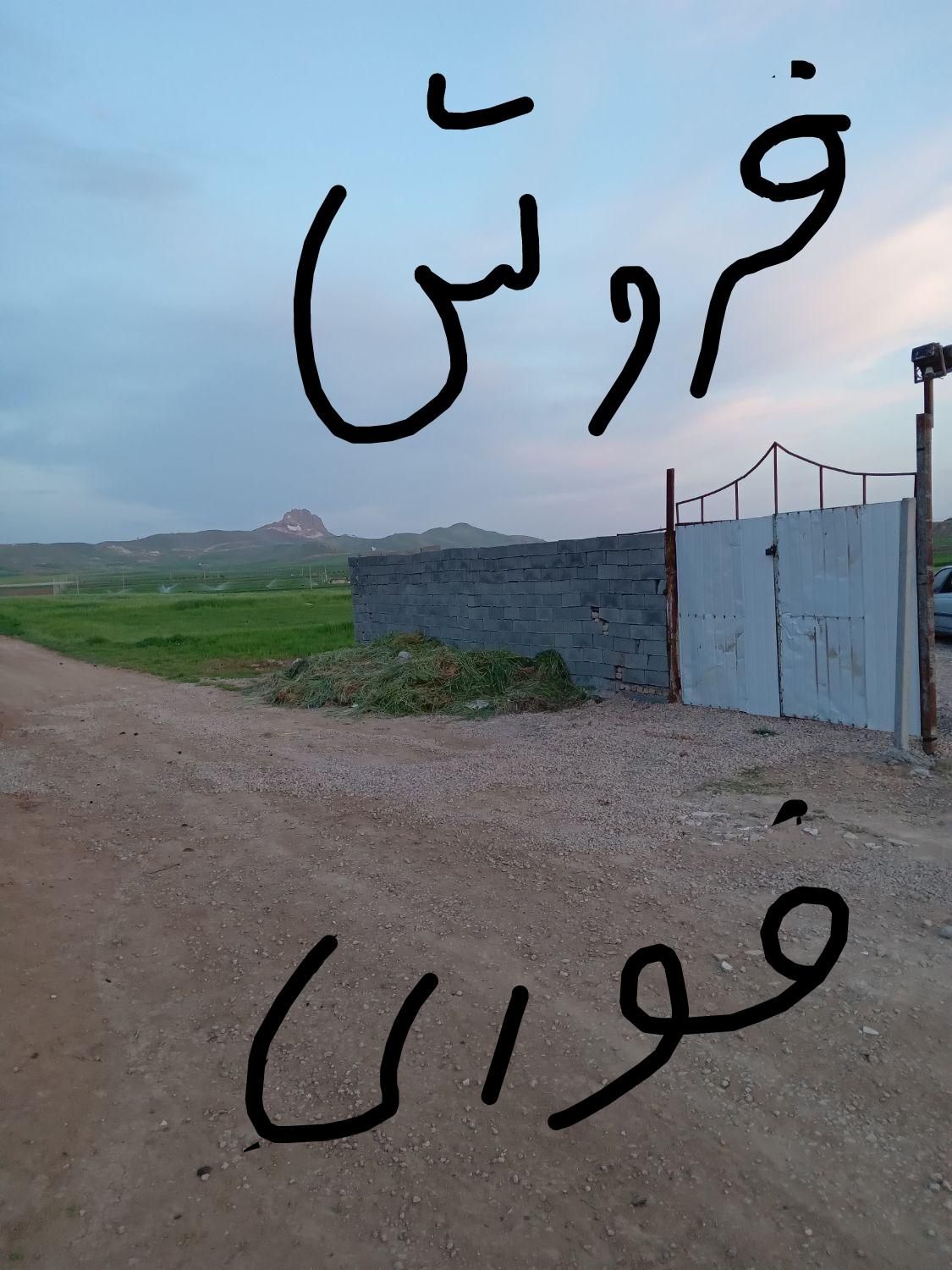 باغ ویلا باغچه خانه باغ زمین گلخانه چینی کرد کرانی|فروش زمین و ملک کلنگی|کرمانشاه, |دیوار
