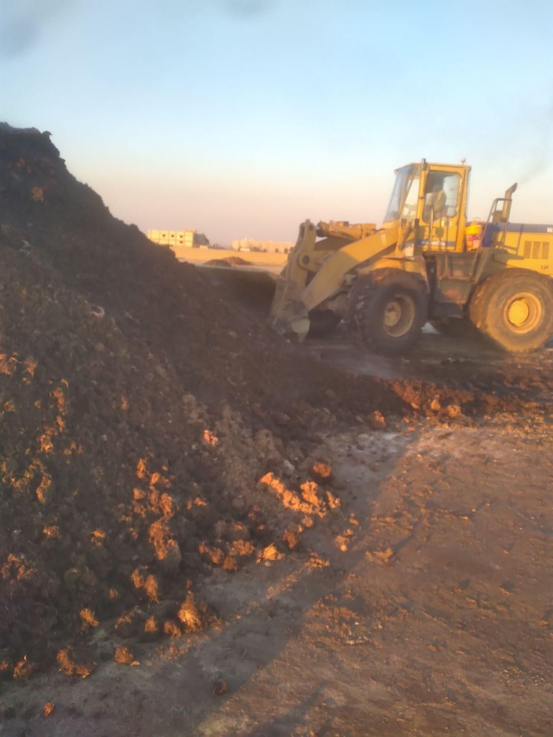 کودگاوی کوسفندی مرغی|خدمات باغبانی و درختکاری|ماهدشت, |دیوار