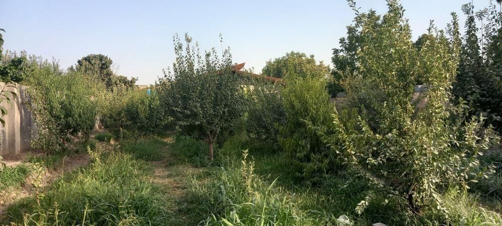 باغ ویلا|فروش خانه و ویلا|وحیدیه, |دیوار