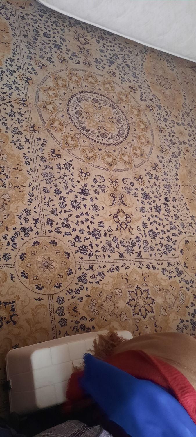 قالی|فرش|مشهد, صیاد شیرازی|دیوار