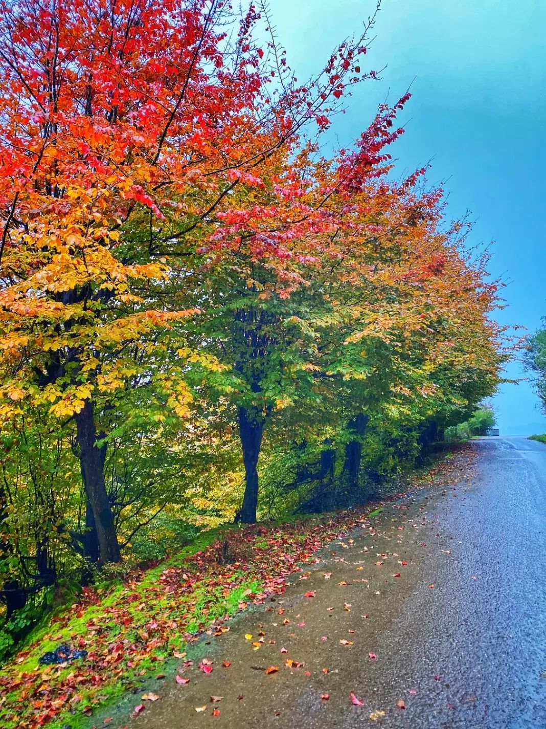 ۳۰۰متر‌ زمین سنددار برای ویلا دیزکوه|فروش زمین و ملک کلنگی|رشت, بلوار گیلان|دیوار