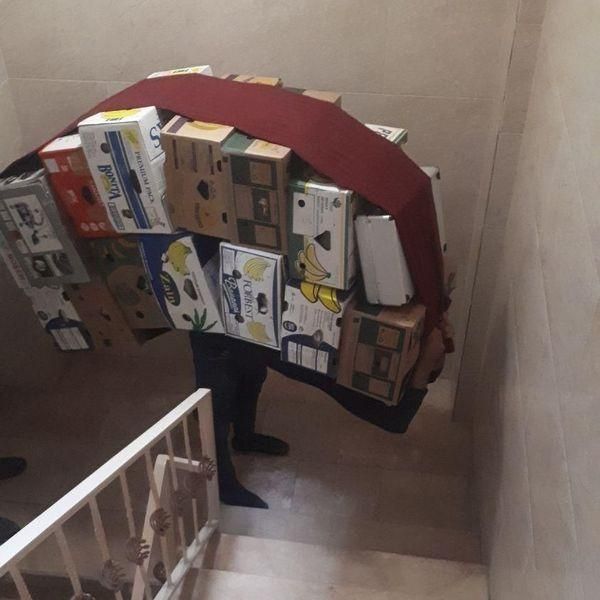 باربری(( شفق بار ))کامیونت کارگر بسته بندی چیدمان|خدمات حمل و نقل|اردبیل, |دیوار