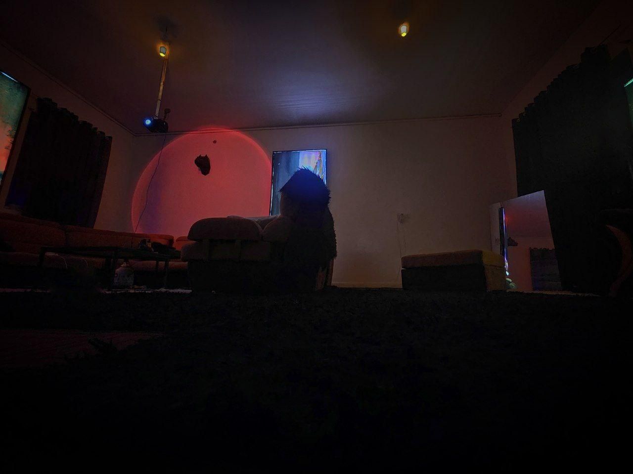 ویلا مستقل استخر دار ۳۰۰ متری|اجارهٔ کوتاهمدت ویلا و باغ|زاهدان, |دیوار