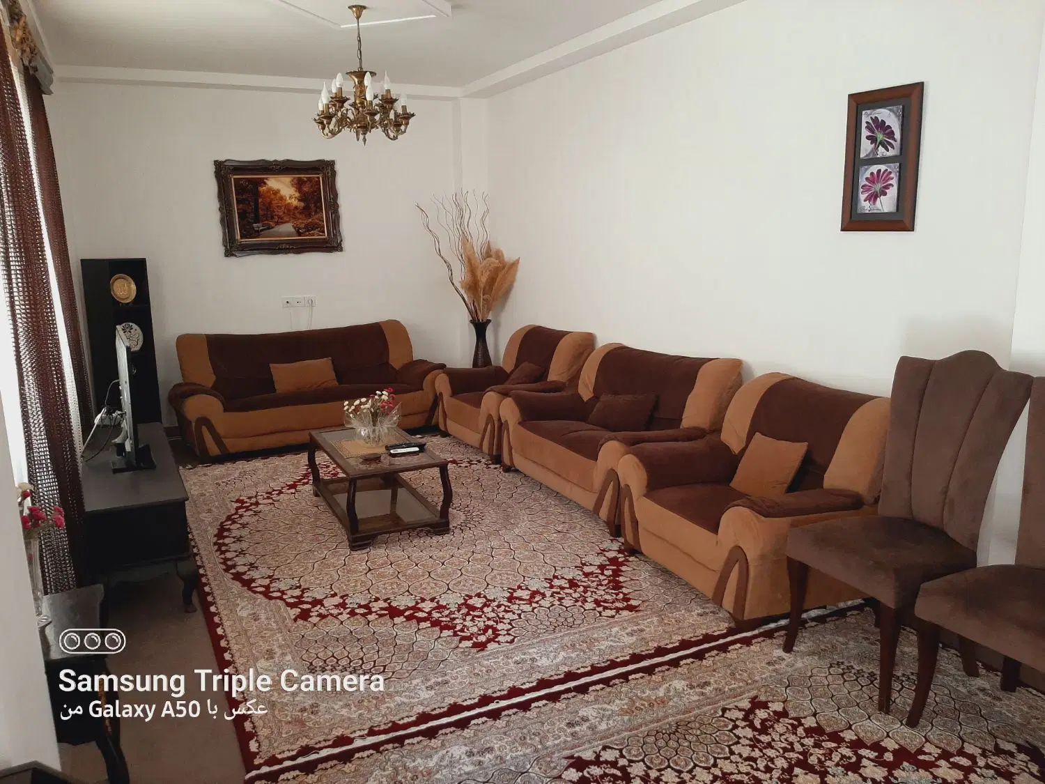اجاره روزانه هفتگی ماهانه واحد تک خواب حیاط دار|اجارهٔ کوتاه‌مدت آپارتمان و سوئیت|پره‌سر, |دیوار