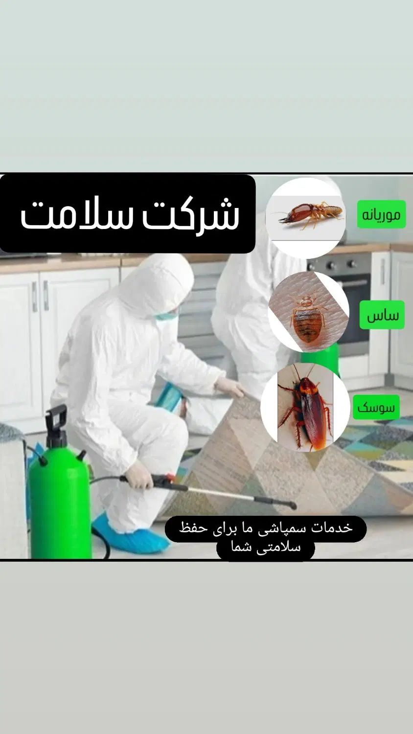 سمپاشی و موریانه زدایی تخصصی با قیمت مناسب|خدمات نظافت|دزفول, |دیوار