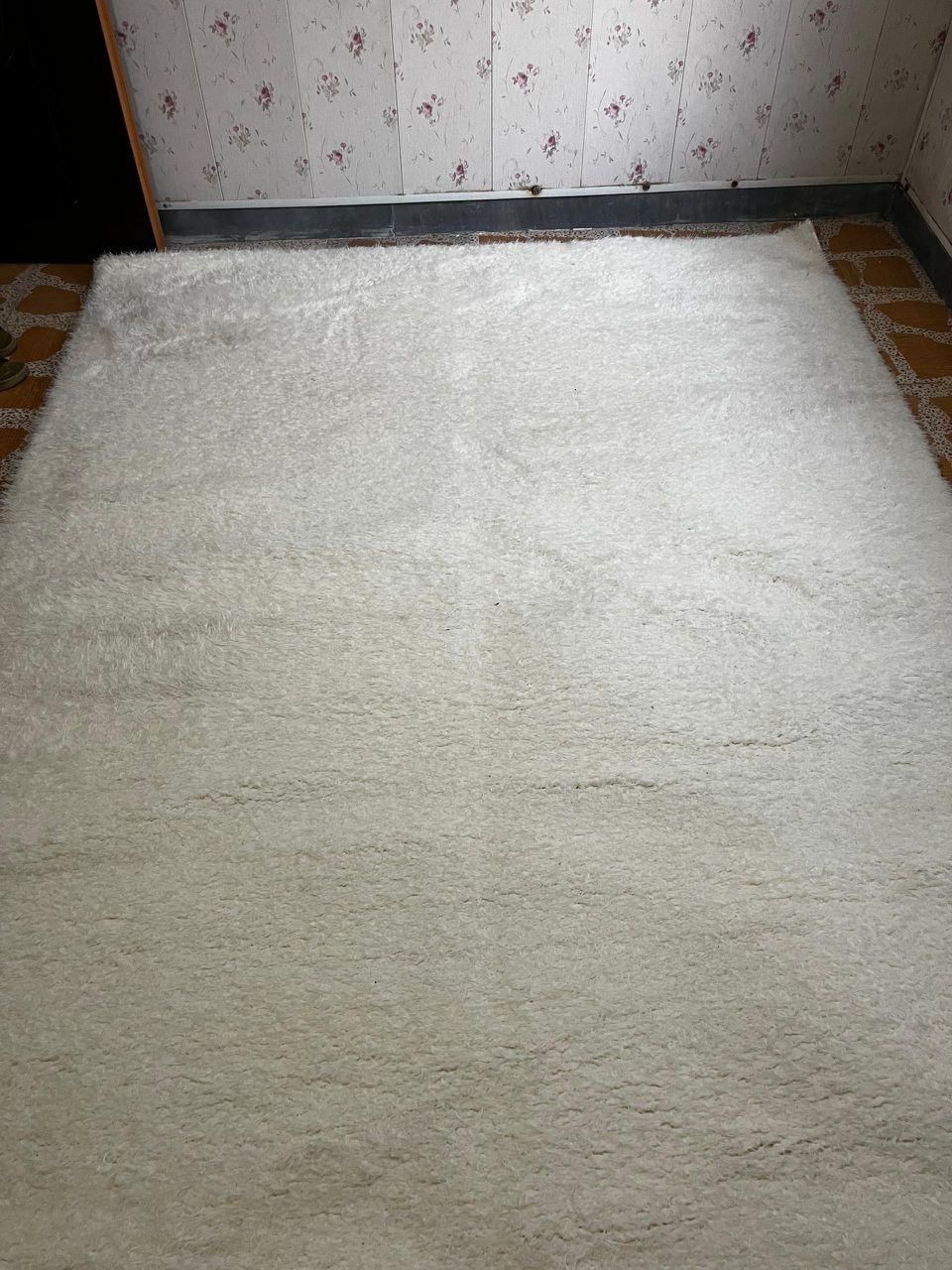 فرش 6متری مدل شگی آکبند و نو|فرش|لاهیجان, گلستان|دیوار