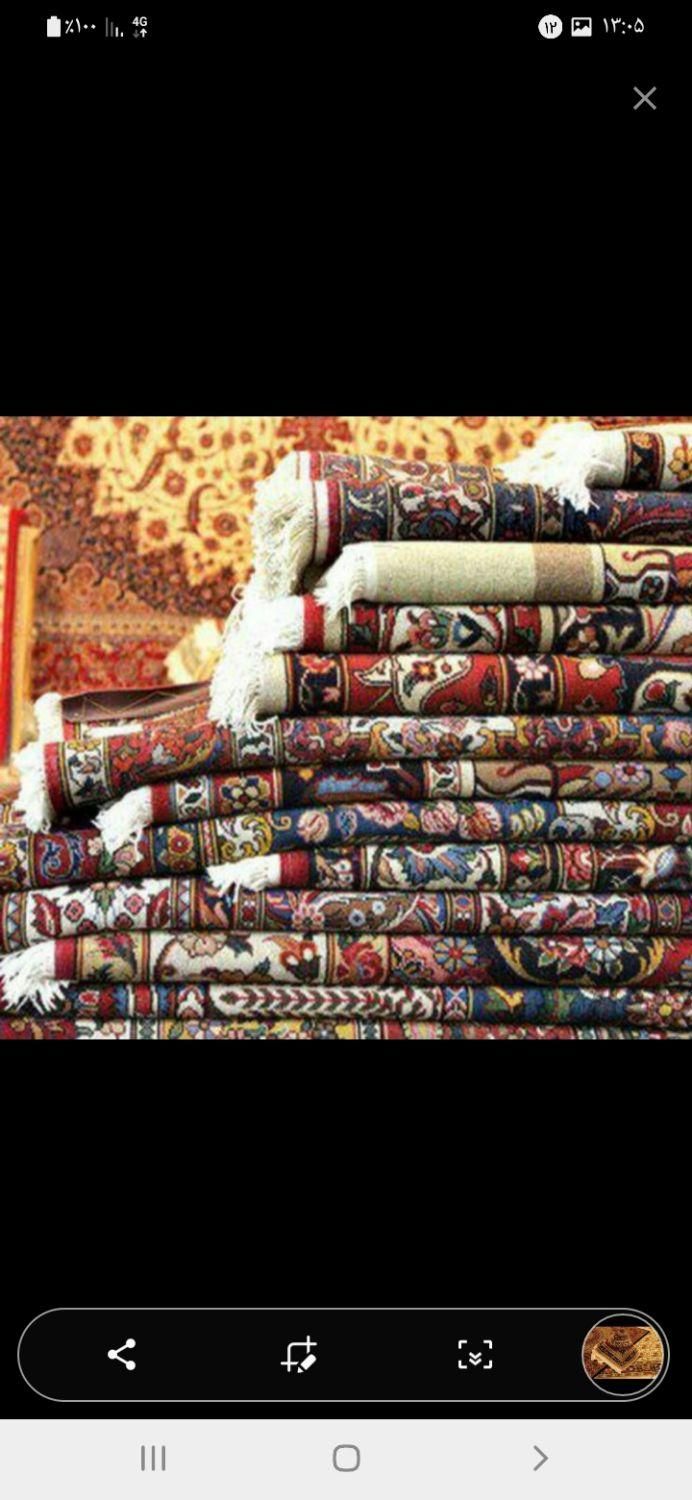 قالیشویی قالی شویی نوین|خدمات نظافت|اهواز, کمپلو جنوبی|دیوار