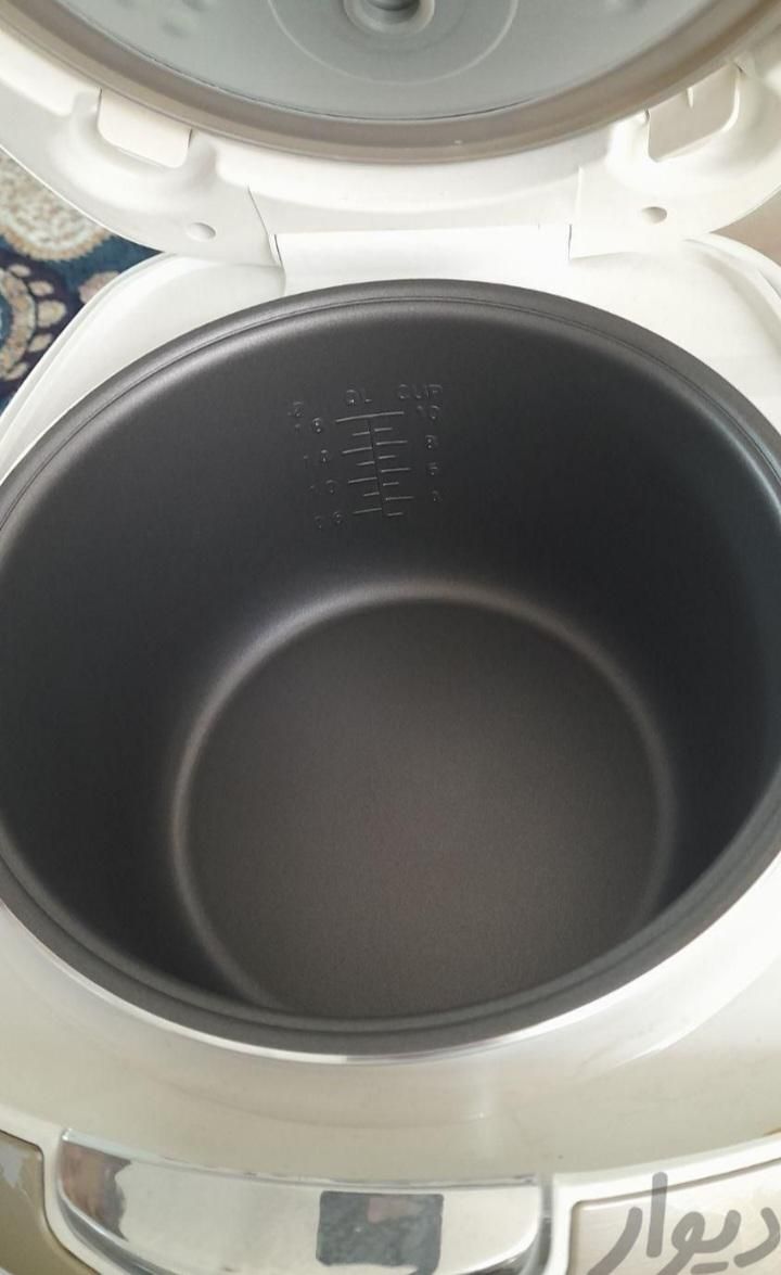 پلوپز دیجیتال ۷ کاره ریچموند|اجاق گاز و لوازم برقی پختوپز|اراک, |دیوار