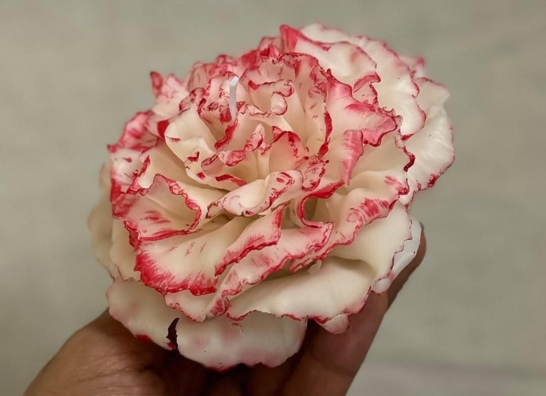 آموزش شمع سازی تخصصی با مدرک بین المللی|خدمات آموزشی|اصفهان, وحید|دیوار