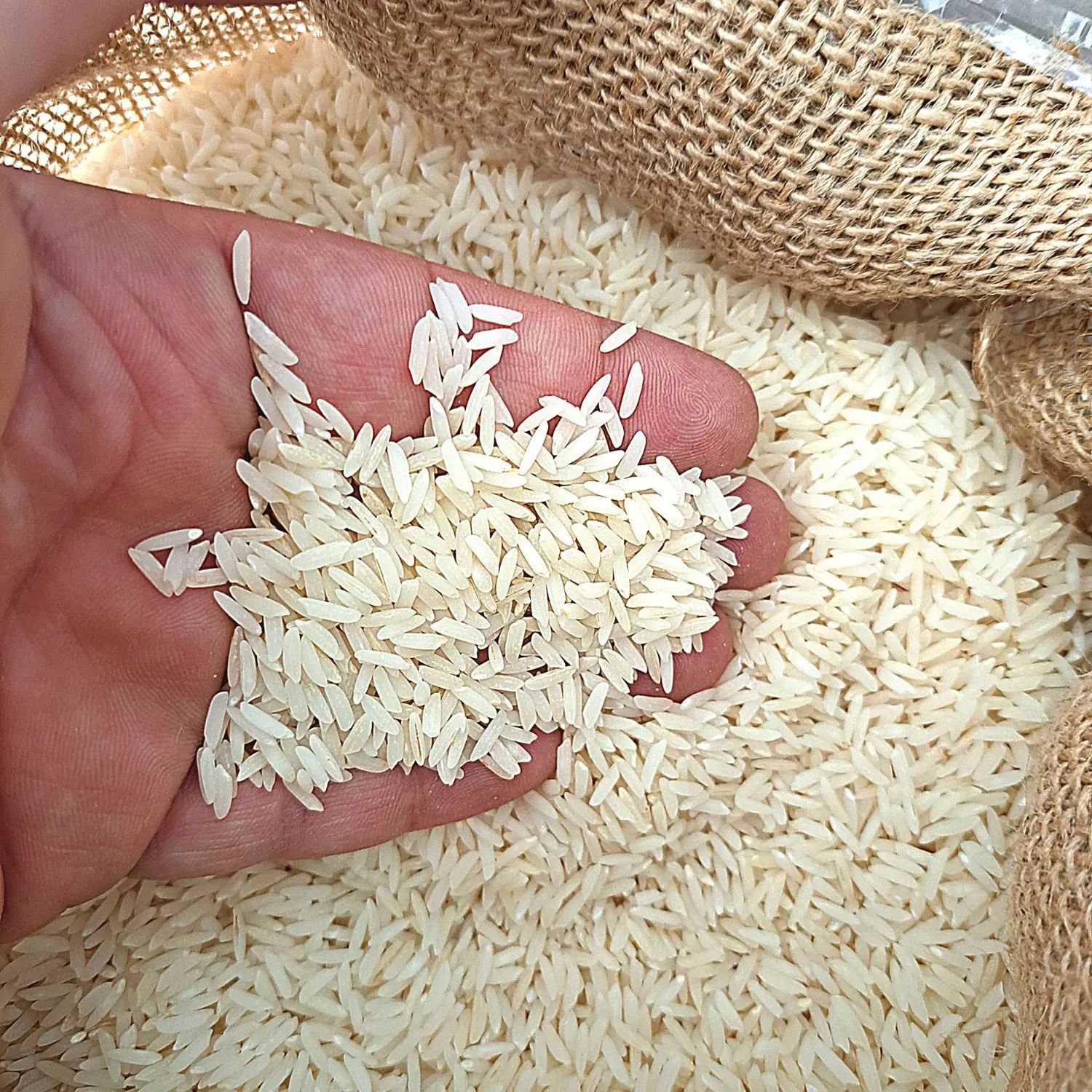 برنج طارم هاشمی درجه ۱|خوردنی و آشامیدنی|مشهد, کوی المهدی|دیوار