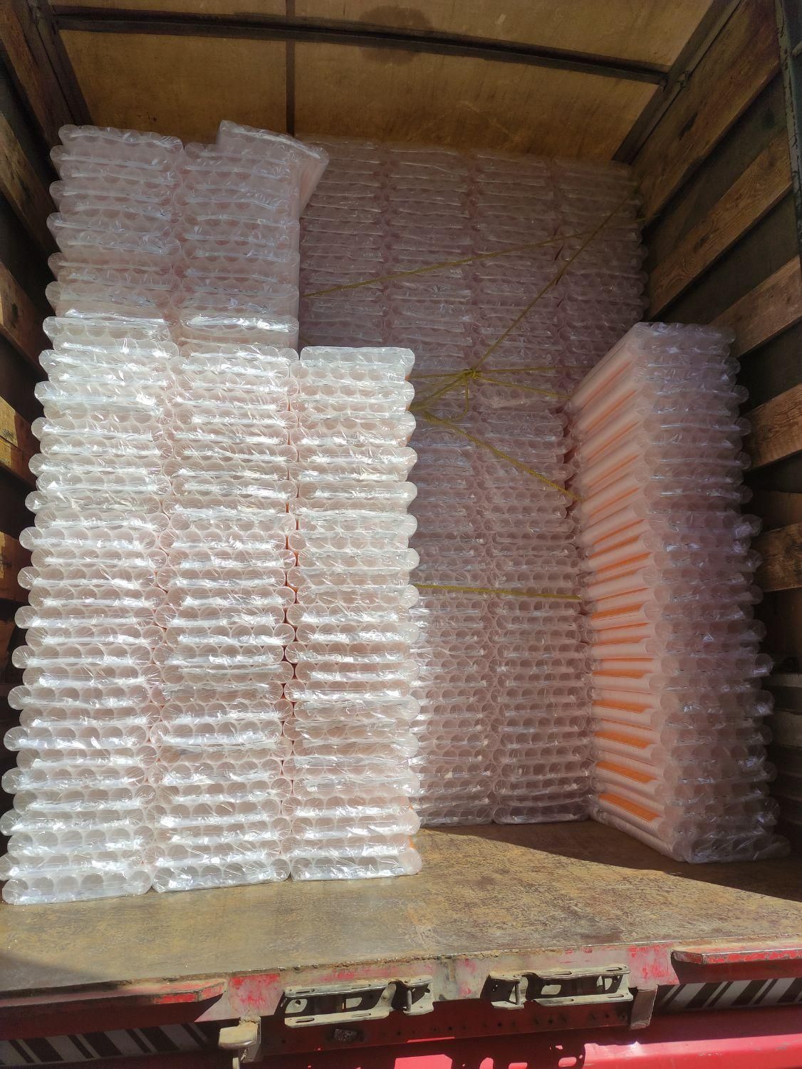 لیوان یکبار مصرف آبخوری pp|ظروف نگهدارنده، پلاستیکی، یک‌بارمصرف|اصفهان, خوراسگان|دیوار