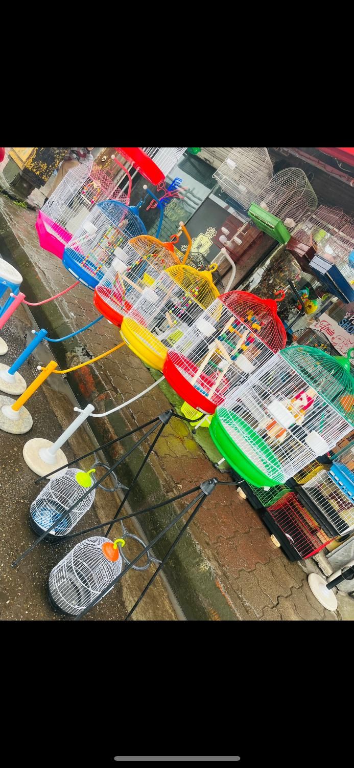 قفس|لوازم جانبی حیوانات|رشت, شهریاران|دیوار