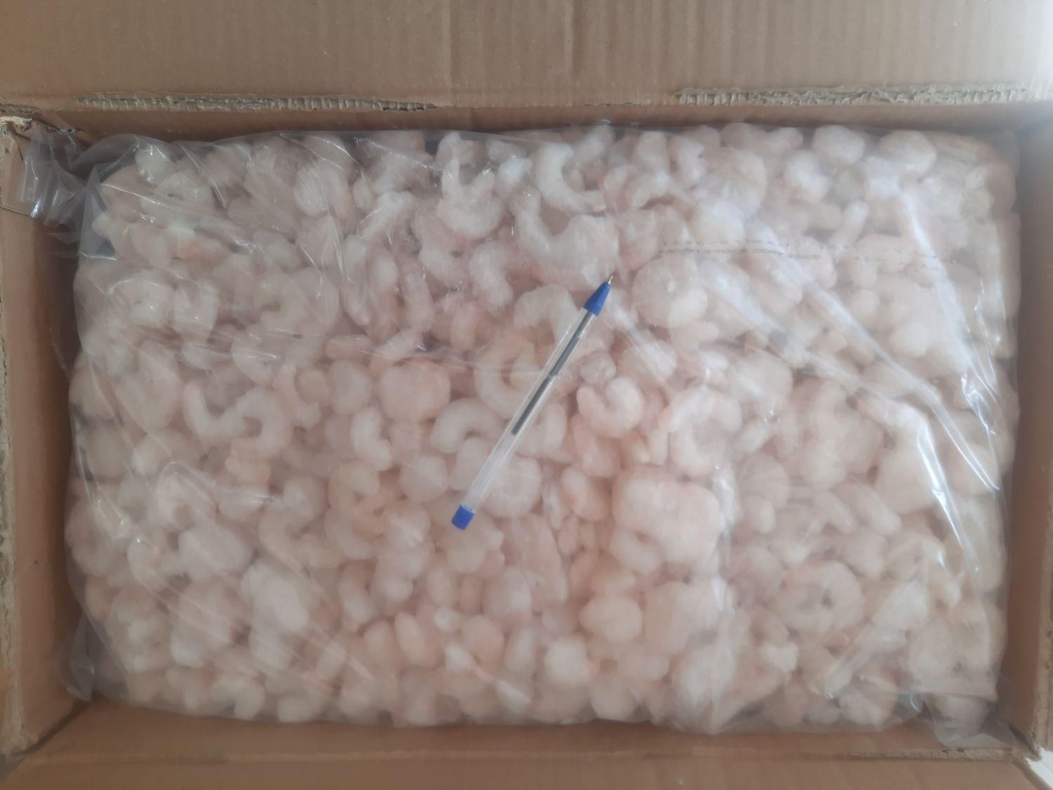 پخش میگو دریایی|خوردنی و آشامیدنی|اهواز, شهرک نفت|دیوار