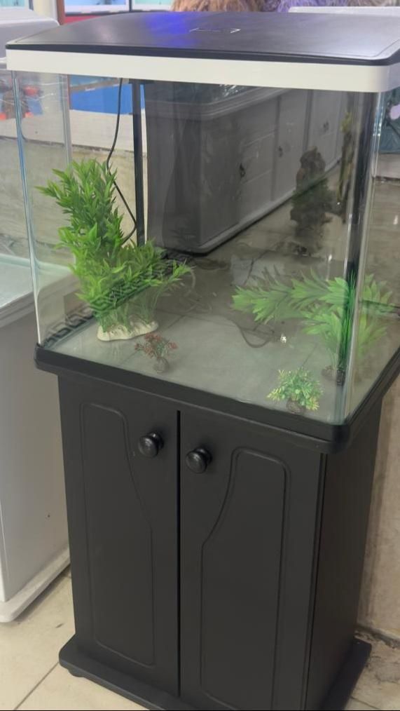 آکواریوم دلسا k500|ماهی|فسا, |دیوار