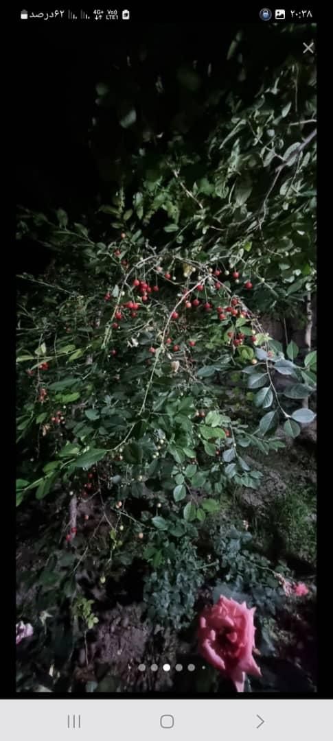 خانه ویلایی دوبلکس عجب شیر شیشوان|فروش خانه و ویلا|بناب, |دیوار