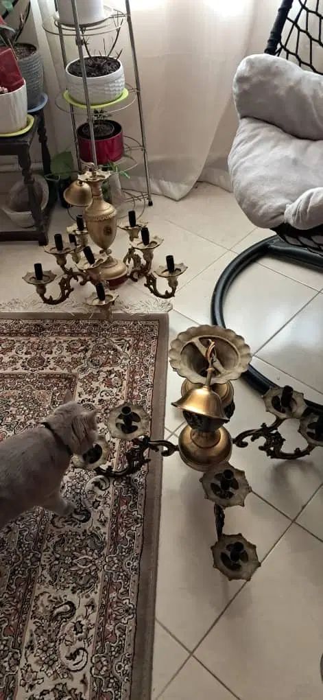 لوستر برنز|لوستر و چراغ آویز|کرج, باغستان|دیوار