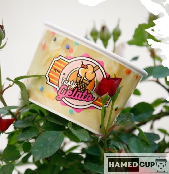 کاسه بستنی|فروشگاه و مغازه|مشهد, تربیت (صدف)|دیوار