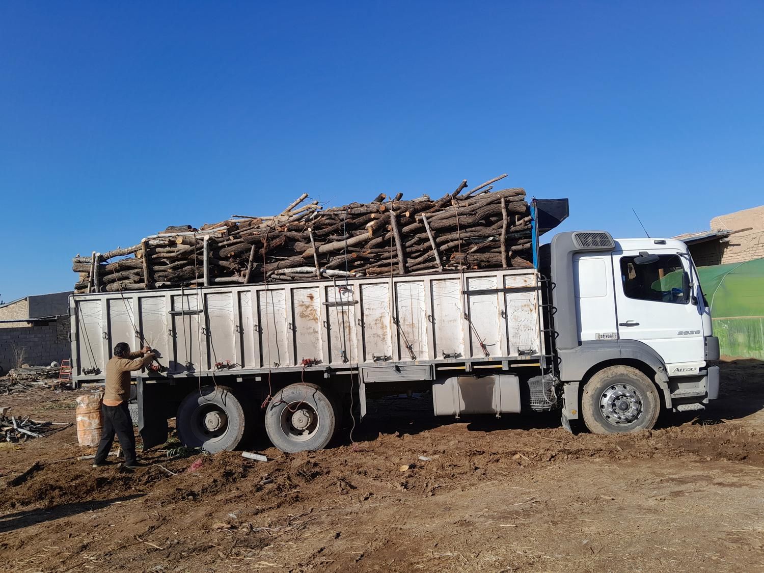 خریدار چوب شما|خدمات باغبانی و درختکاری|کرمان, |دیوار