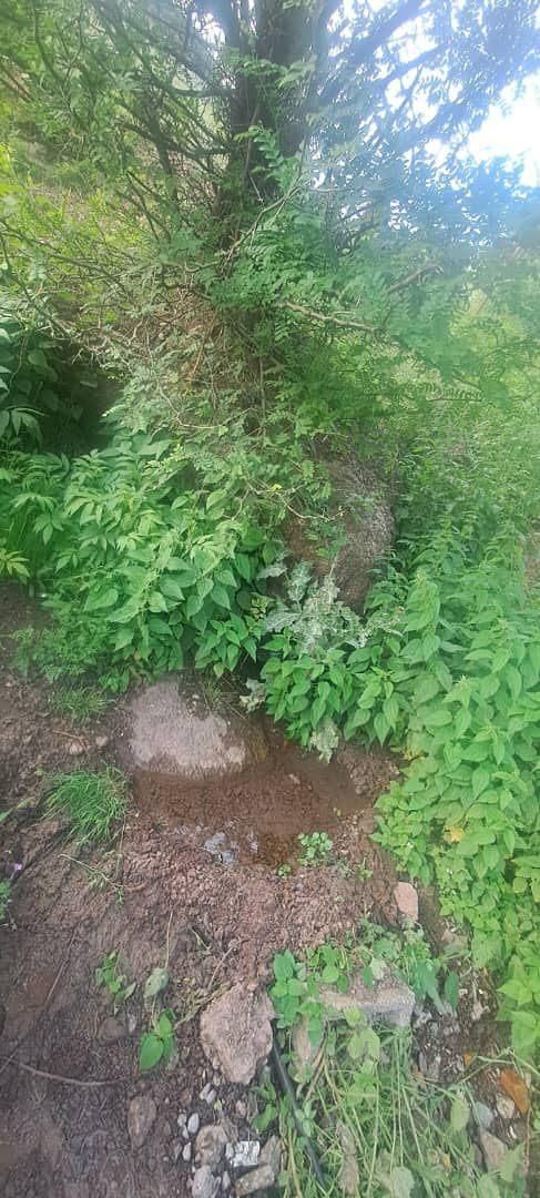 زمین متراژ بالا با ویو عالی در گیلان|فروش زمین و ملک کلنگی|رشت, بازار|دیوار