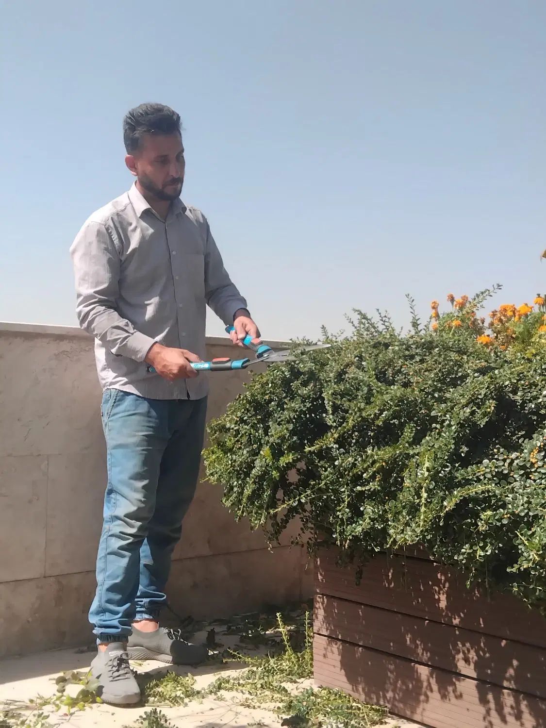 باغبانی سمپاشی گل کاری هرس تعویض گلدان با ضمانت|خدمات باغبانی و درختکاری|تهران, تجریش|دیوار