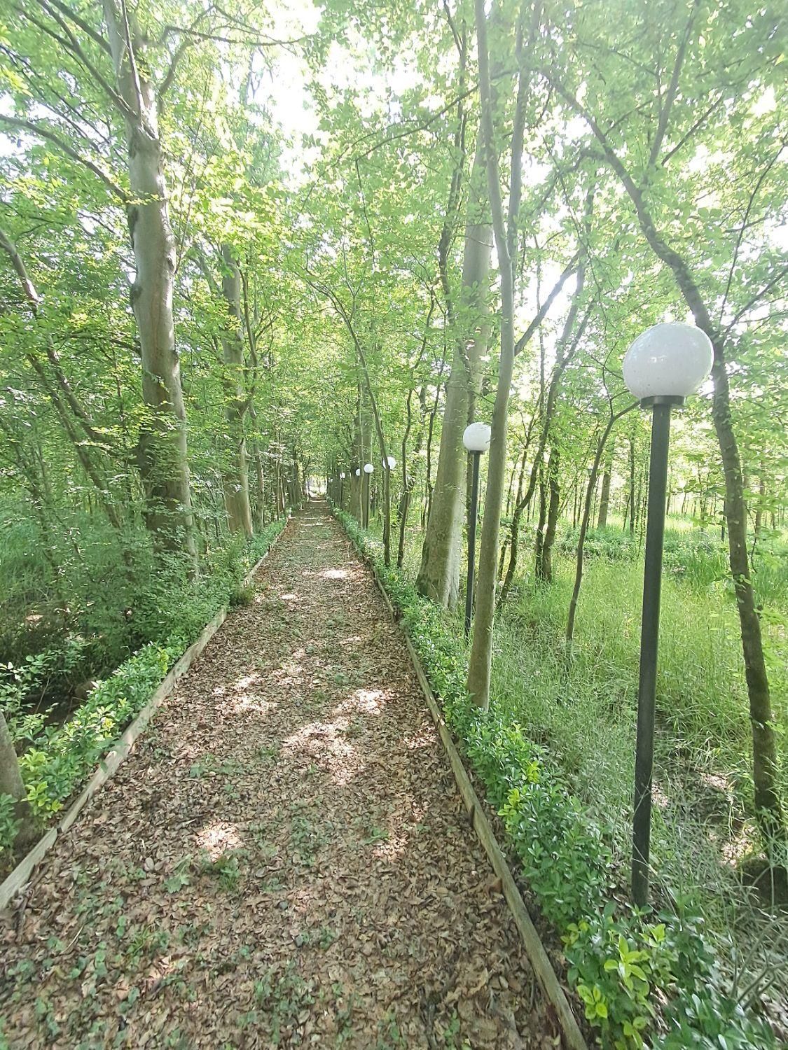 فروش آپارتمان شهرک پزشکان آمارو ..دهکده گیل کاپو|فروش آپارتمان|رشت, لاکان شهر|دیوار