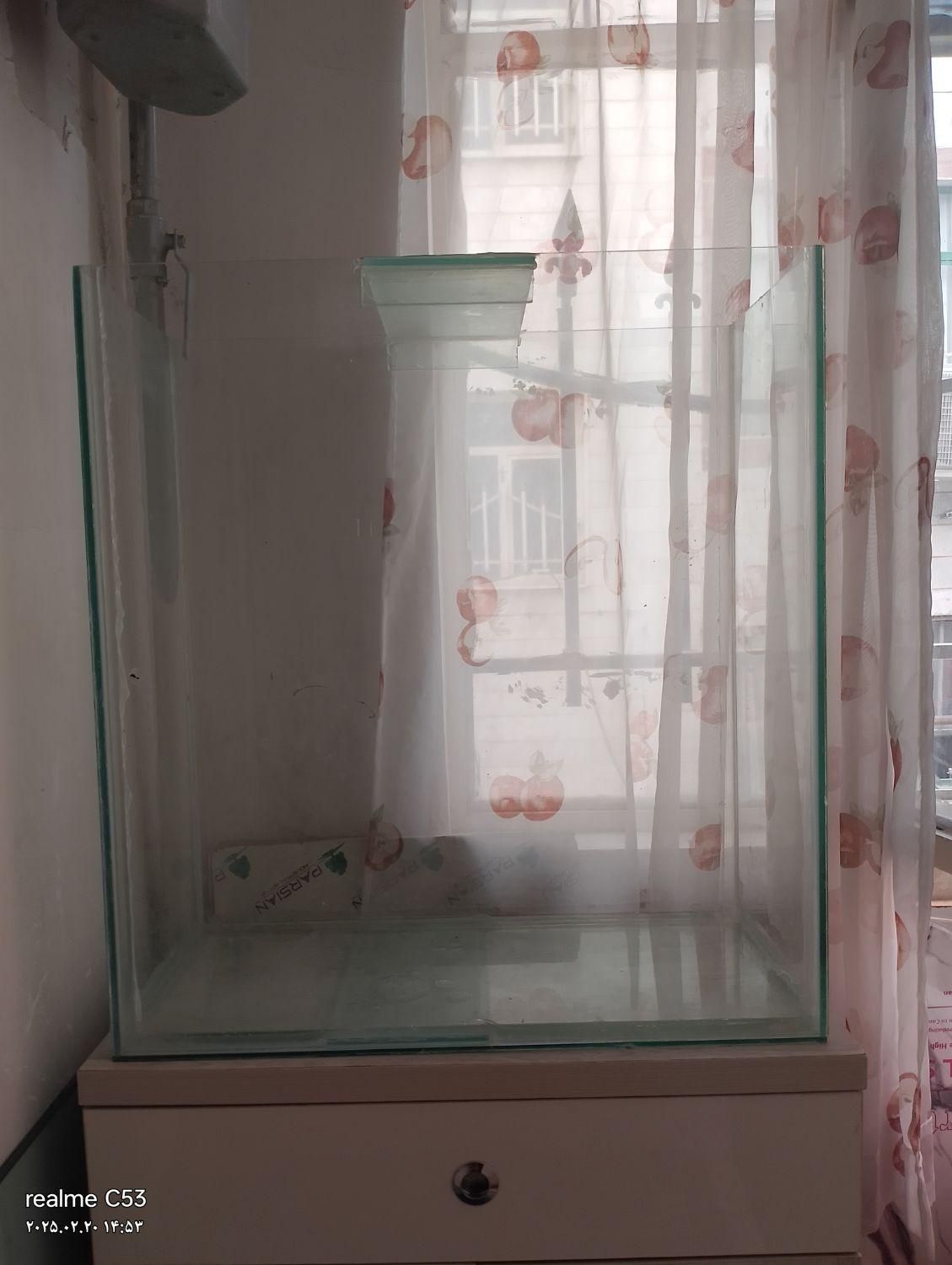 آکواریوم|ماهی|قدس, شهر‌قدس|دیوار