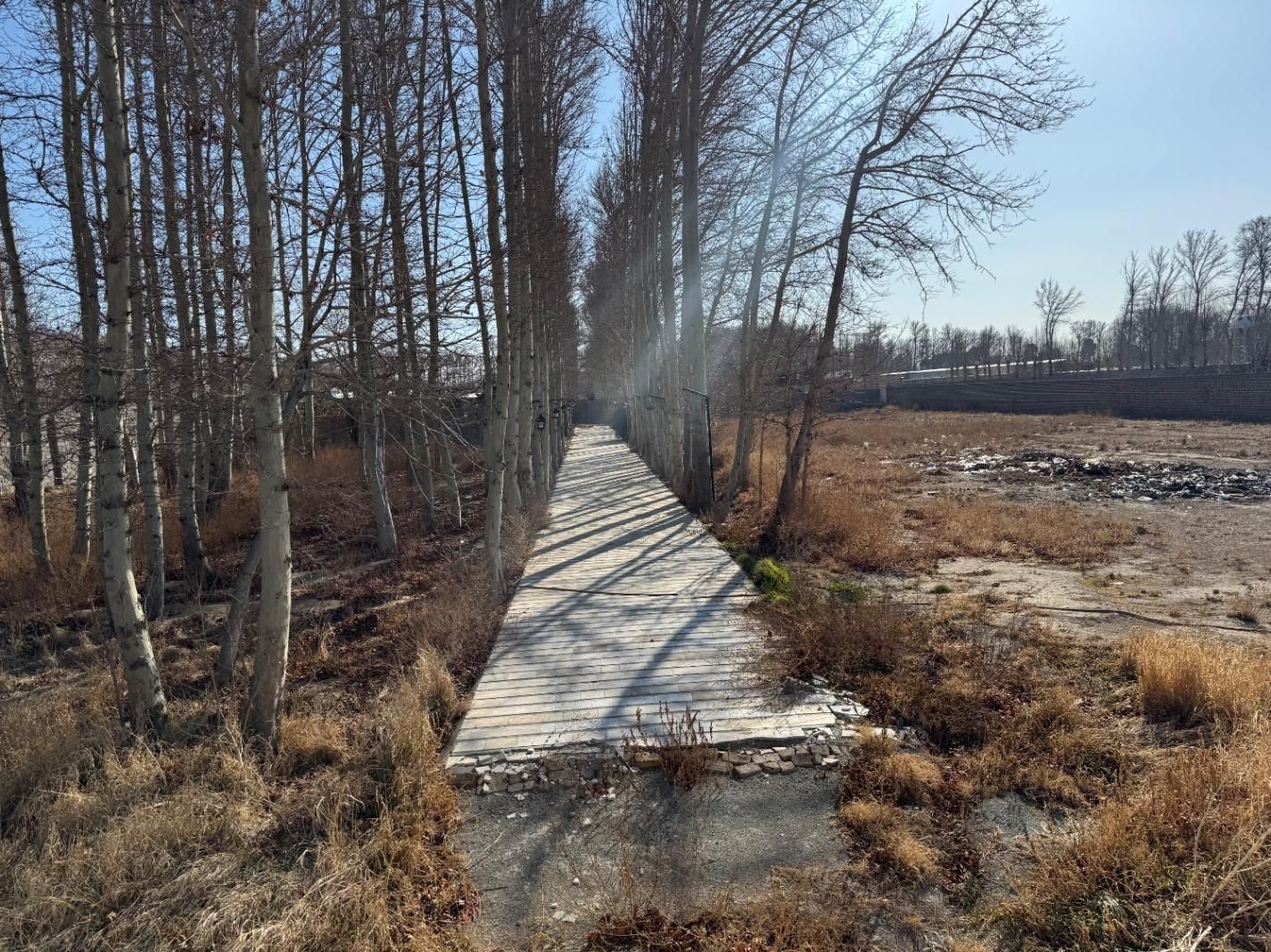 فروش ۱۰ قطعه زمین مسکونی(یکجا یا قطعه ای)|فروش زمین و ملک کلنگی|محمدشهر, محمدشهر|دیوار