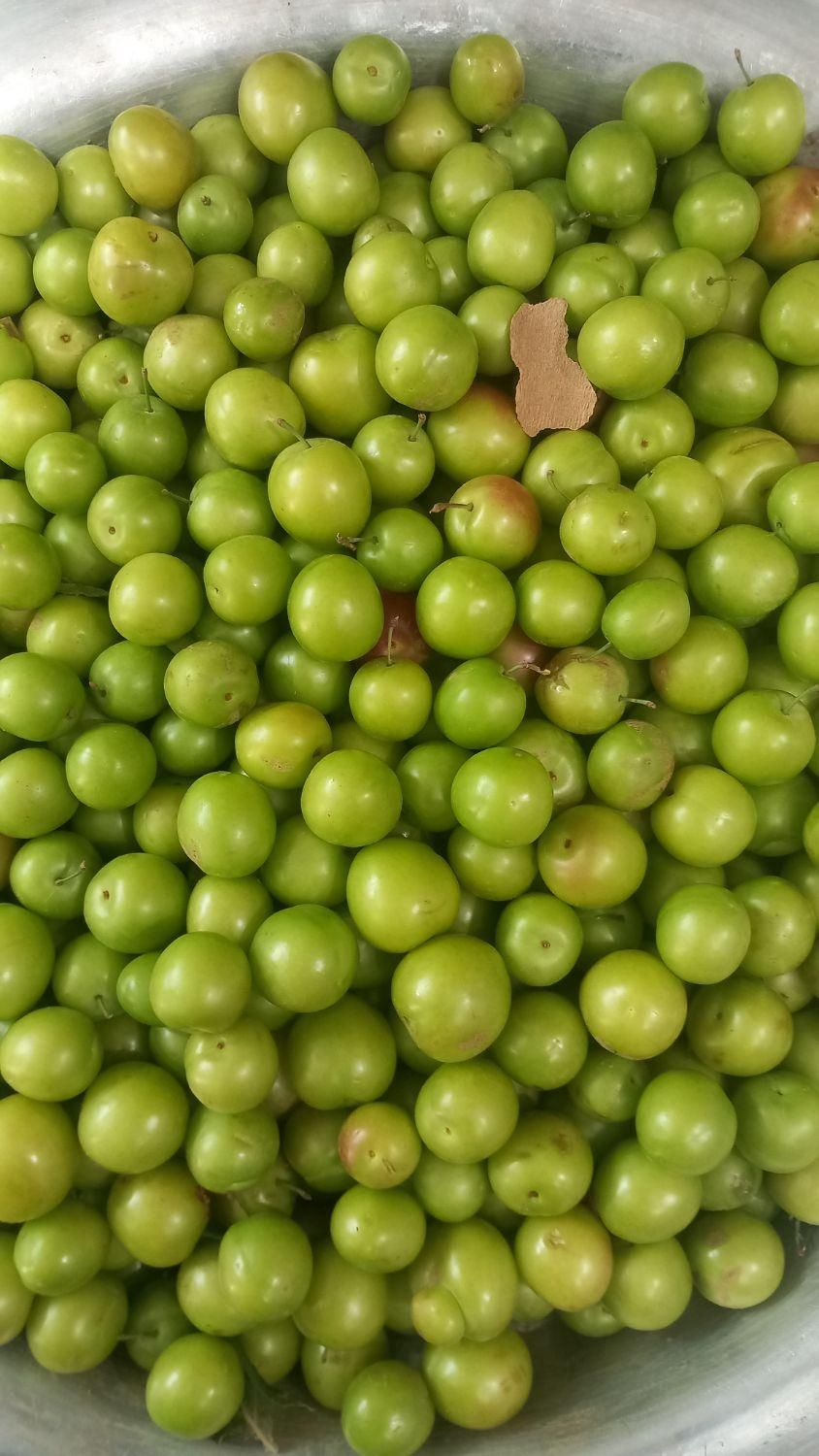 گوجه سبز ارگانیک‌|خوردنی و آشامیدنی|محلات, |دیوار