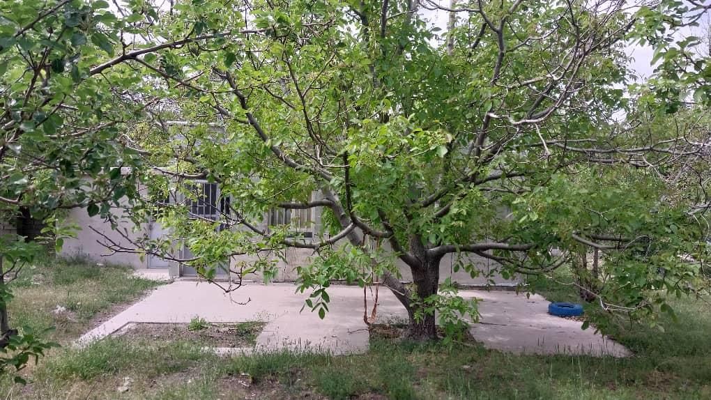 خانه ویلایی جمهوری الغدیر رضوان۳۰۰متر|فروش خانه و ویلا|کرمان, |دیوار