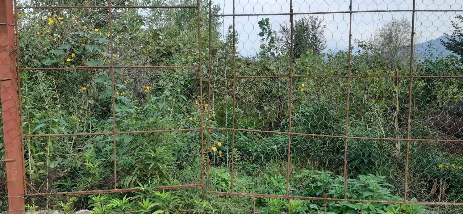 ملک با کاربری جهانگردی و گردشگری|فروش زمین و ملک کلنگی|مشهد, نوفل لوشاتو|دیوار