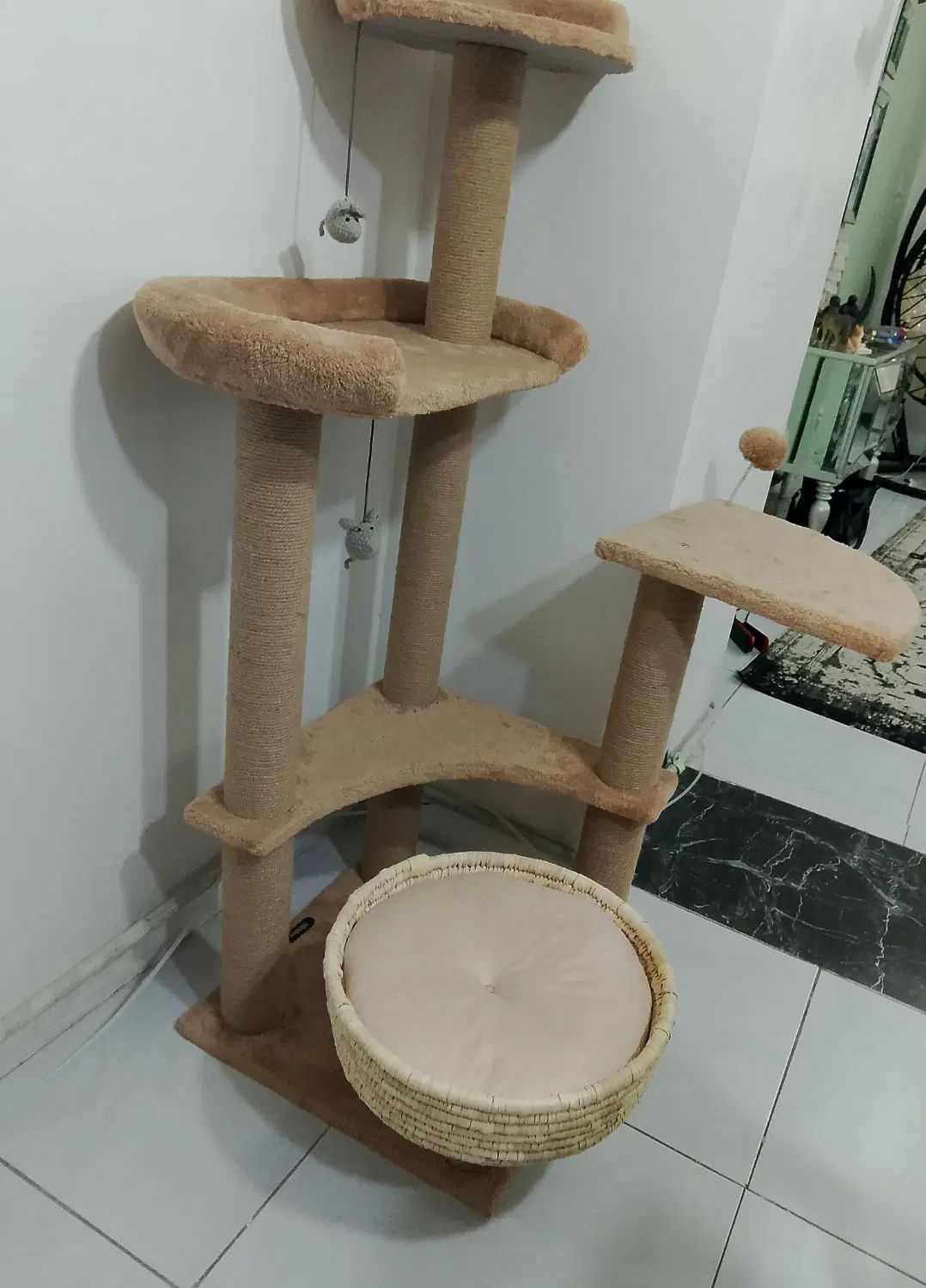 وسایل خانه درختی باکس جای دستشویی گربه و خاک گربه|لوازم جانبی حیوانات|کرج, حسین‌آباد|دیوار