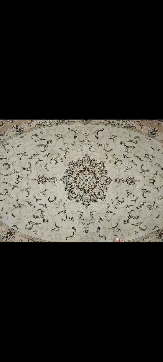 قالیچه کرم بیضی شکل|فرش|اهواز, بهارستان|دیوار