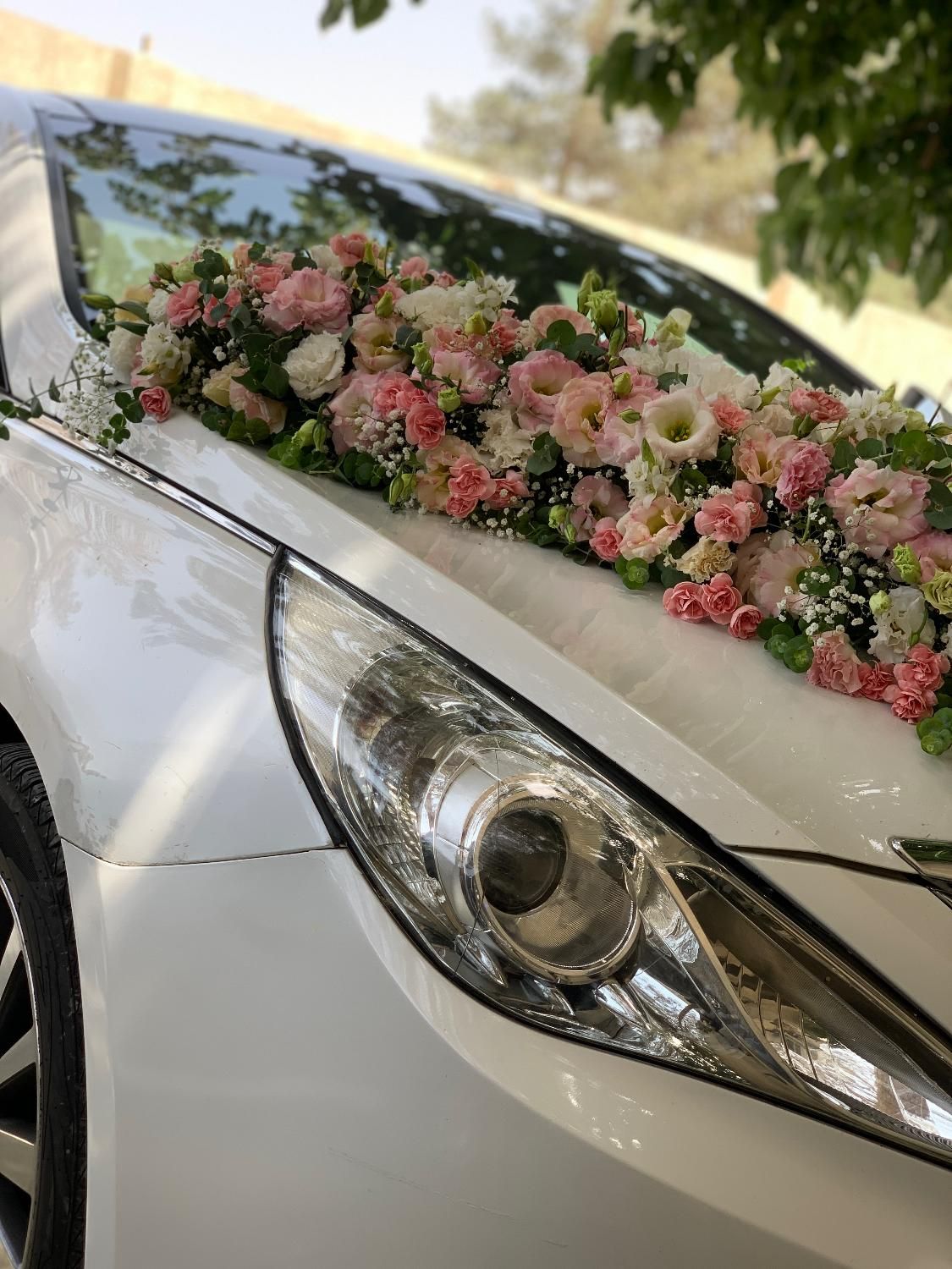 اجاره ماشین عروس وای اف ۲۰۱۴ فقط ۳۵۰۰|خدمات پذیرایی، مراسم|تهران, کن|دیوار