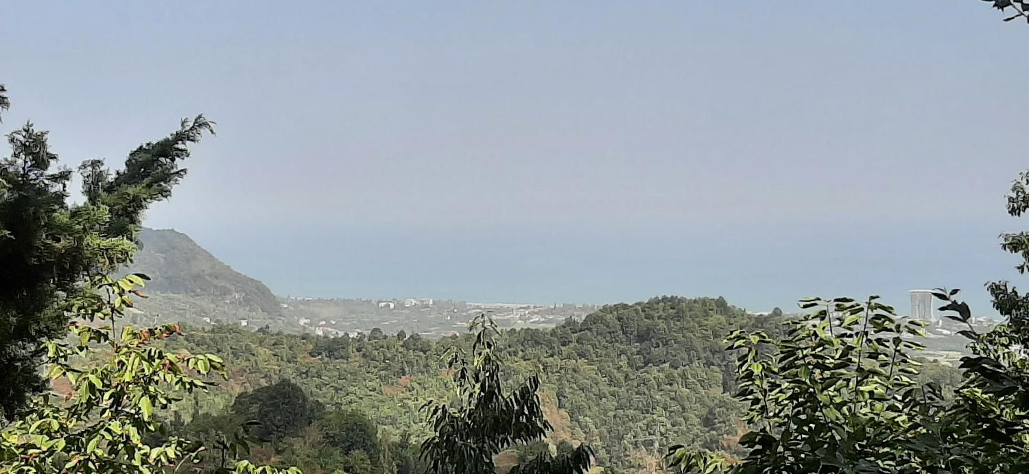 کلبه جنگلی سنتی روستایی دربست  بکروآرام  ویو|اجارهٔ کوتاه‌مدت ویلا و باغ|رامسر, |دیوار