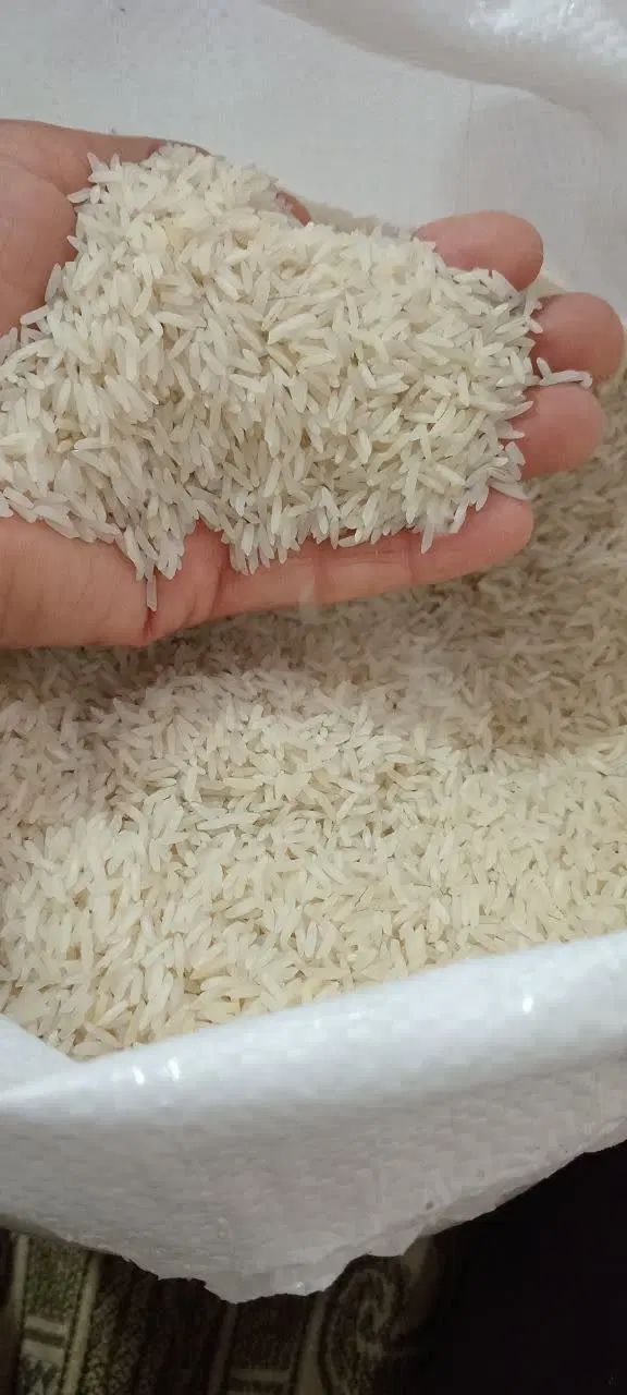 برنج ایرانی هاشمی دانه بلند (امساله) بوجاری شده|خوردنی و آشامیدنی|کرمانشاه, |دیوار