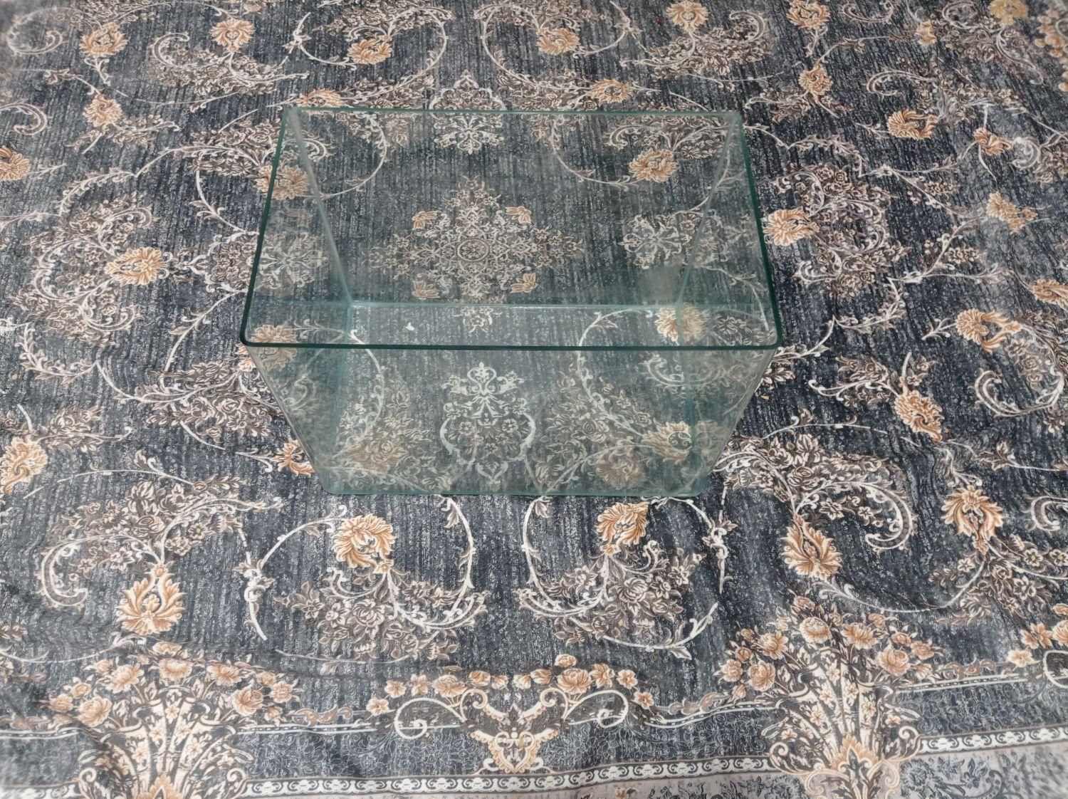 انواع آکواریوم و ماهی و لوازمات|ماهی|کبودرآهنگ, |دیوار