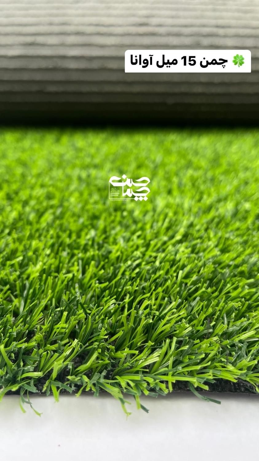 پخش عمده چمن مصنوعی|خدمات باغبانی و درختکاری|کرج, گلدشت|دیوار