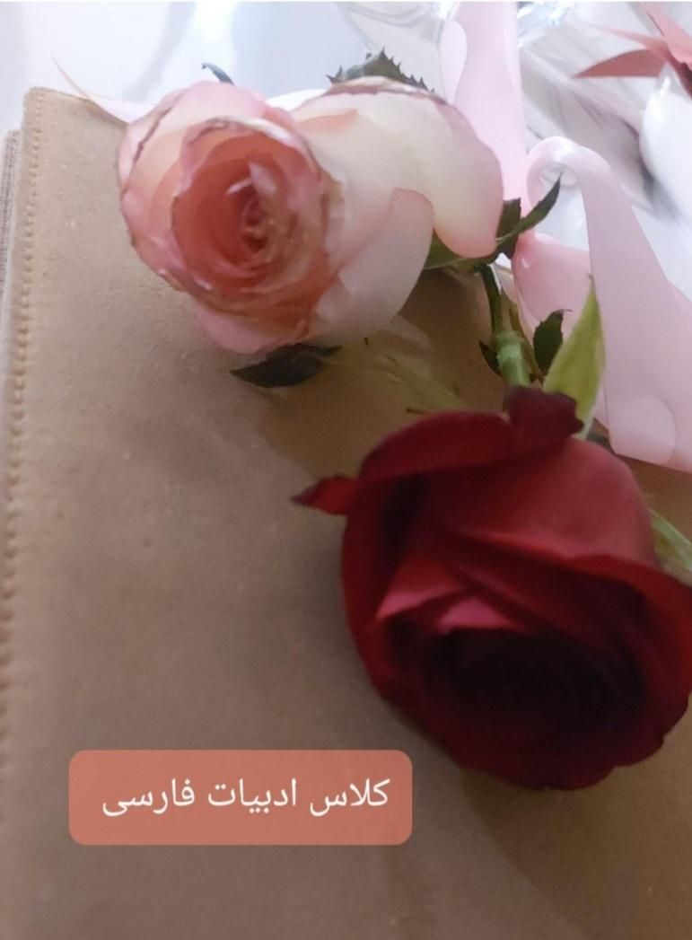 آموزش شیرین ادبیات فارسی فقط در ۵ جلسه|خدمات آموزشی|مشهد, کوثر|دیوار