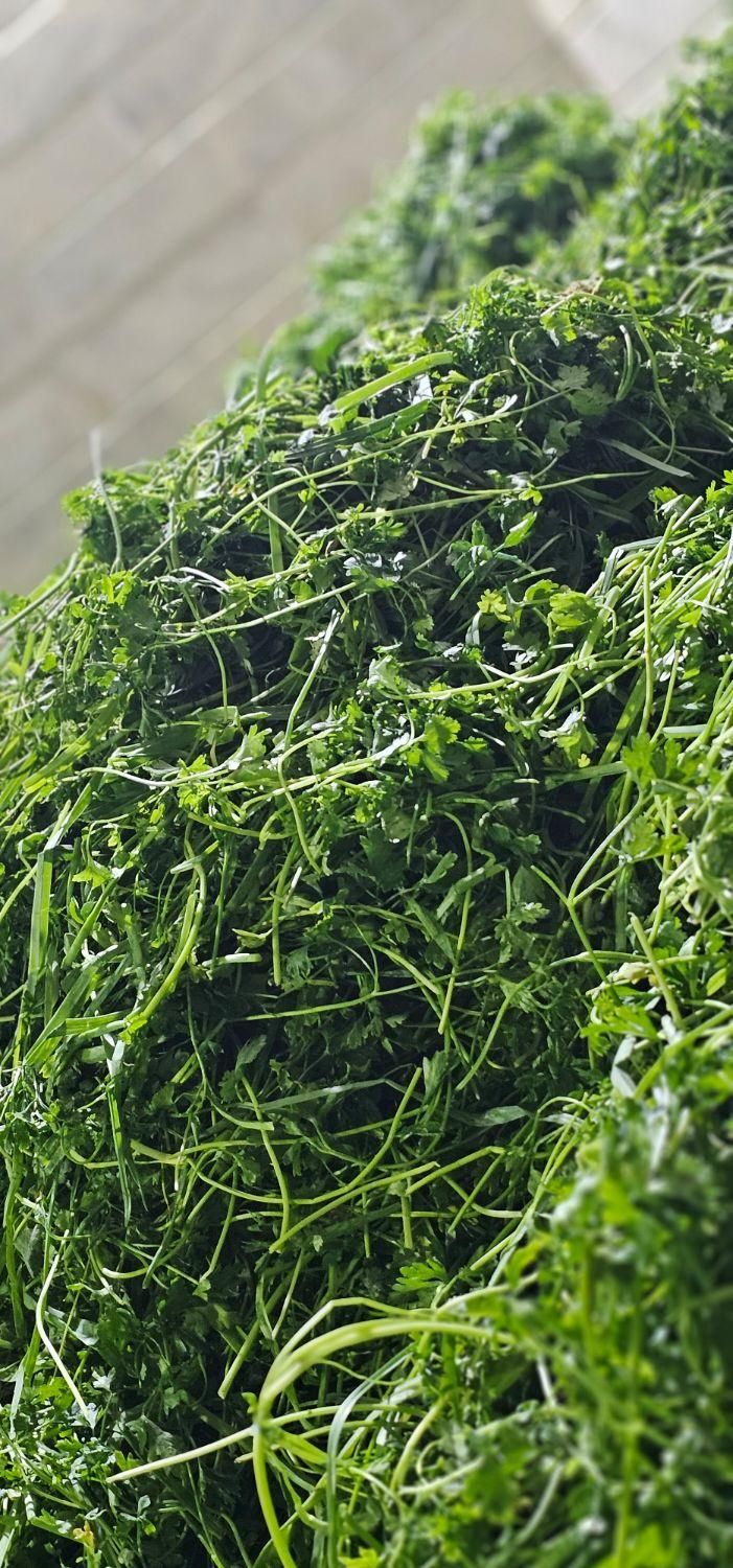 سبزی ذرت نخود سبزی آماده مصرف باقالا لوبیا|خوردنی و آشامیدنی|تهران, افسریه|دیوار