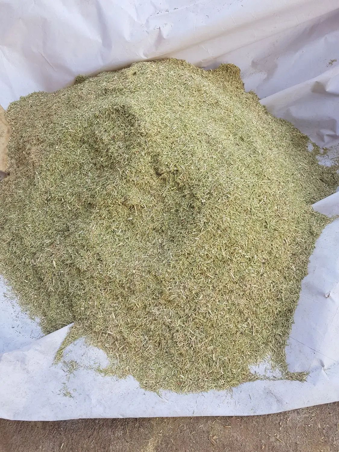 خارشتر جایگزین یونجه برند بوژن|خدمات باغبانی و درختکاری|کرج, باغستان|دیوار