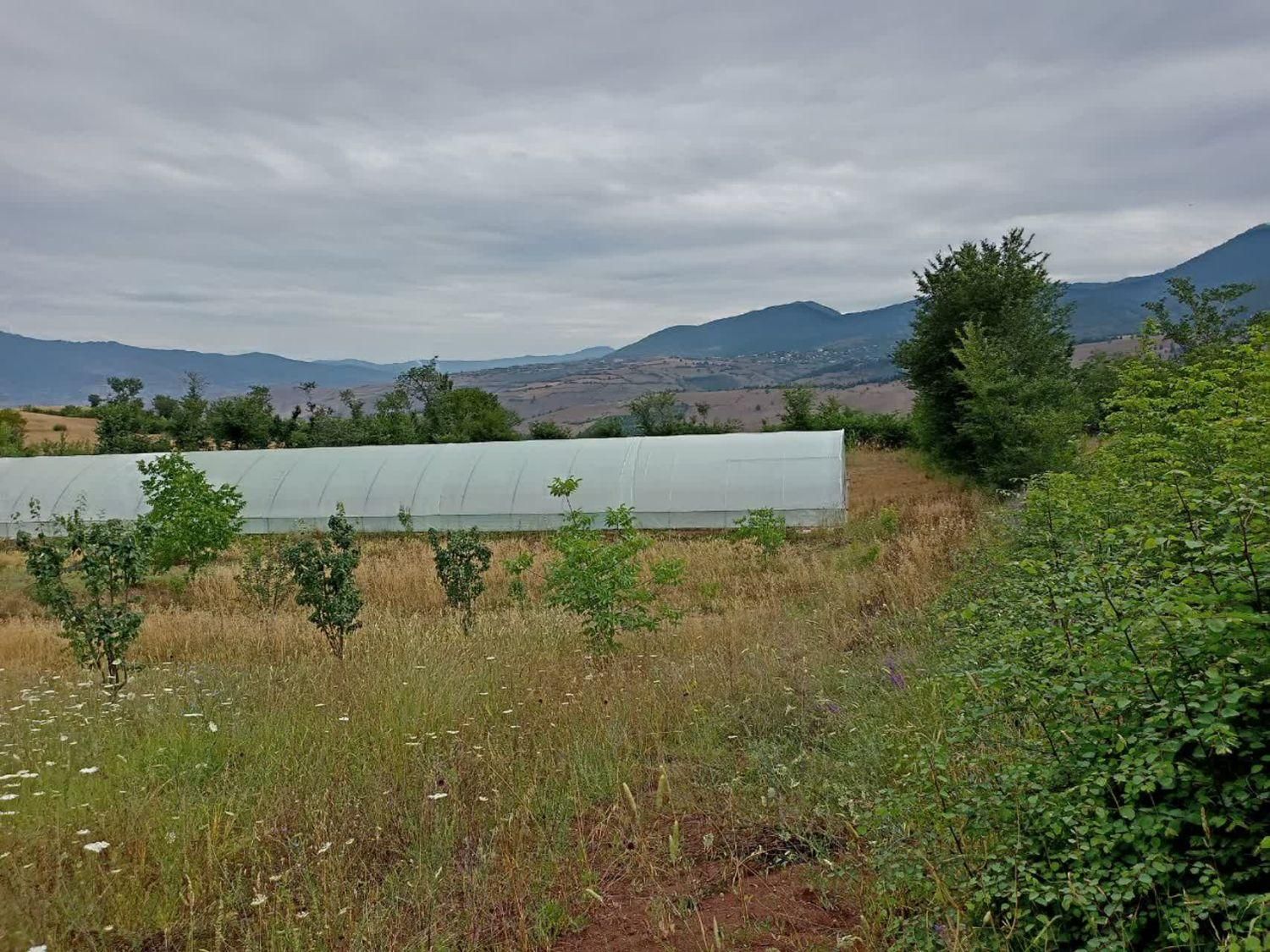 فروش باغ و زمین یک هکتار ی با سند رسمی فروشی|فروش دفتر صنعتی، کشاورزی، تجاری|توتکابن, |دیوار