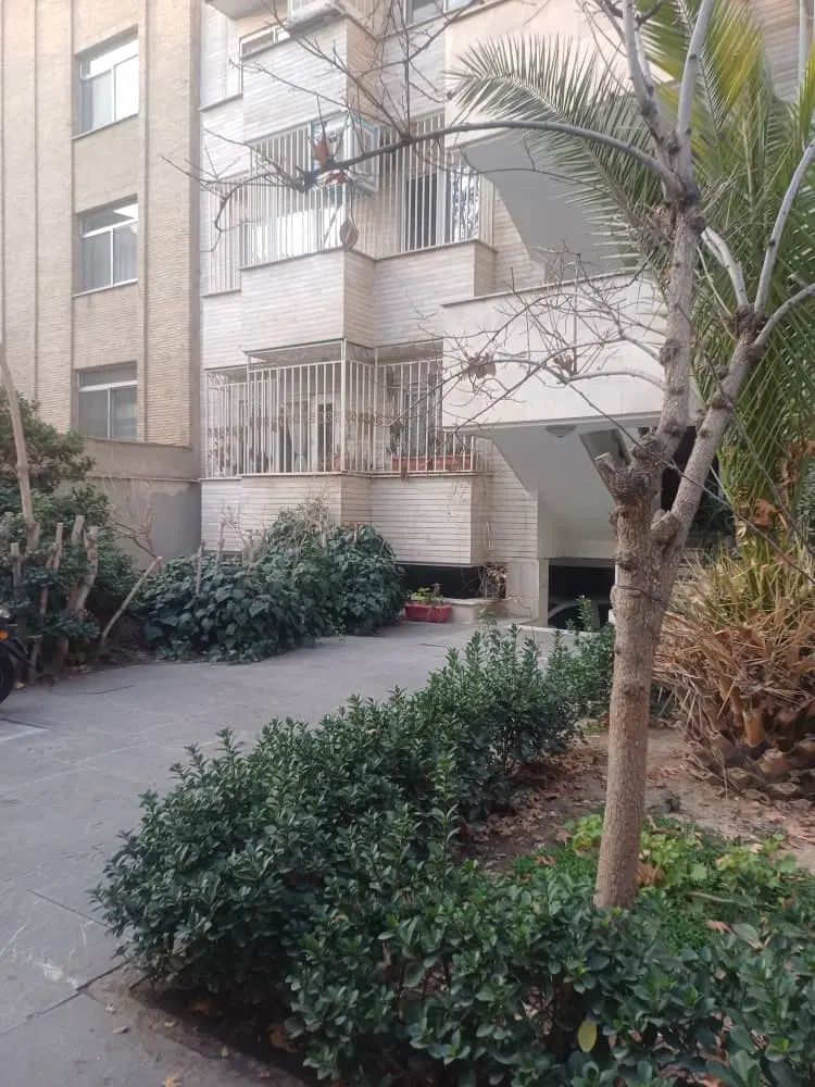 فروش کلنگی (زمین ۴۷۰ متر) بلوار کشاورز جمالزاده|فروش زمین و ملک کلنگی|تهران, نصرت|دیوار