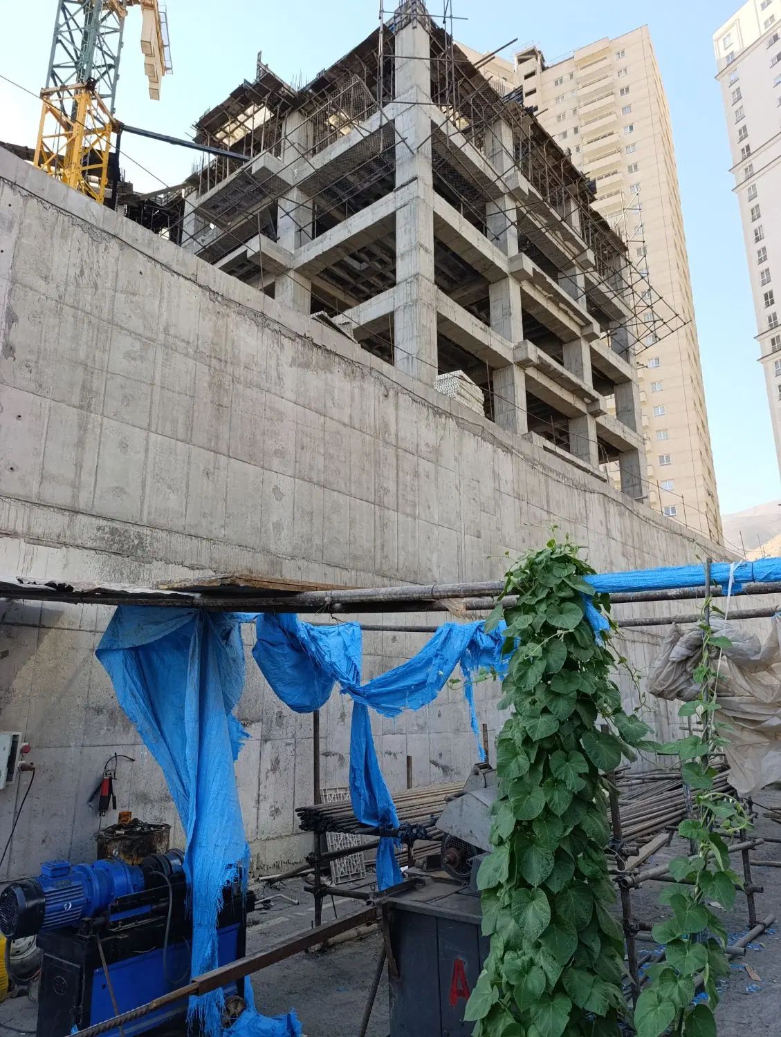 رینگ اول مسکونی ابدی/پرداخت مرحله ای /تهاتر دارد|فروش آپارتمان|تهران, گلستان (شهرک راه آهن)|دیوار