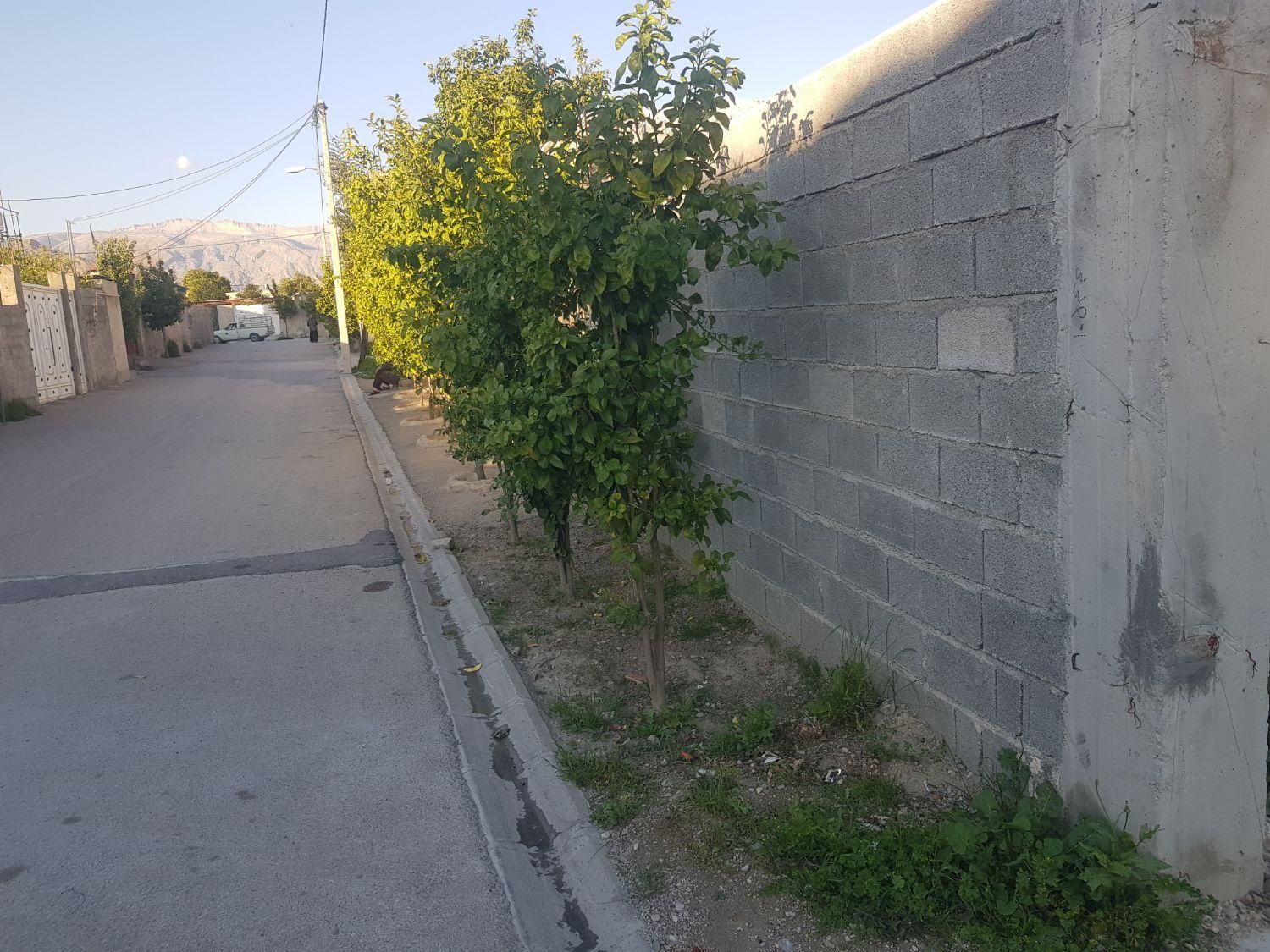 زمین بابامیدان «فوری»(خانه نیمه ساخت)|فروش زمین و ملک کلنگی|رستم, |دیوار