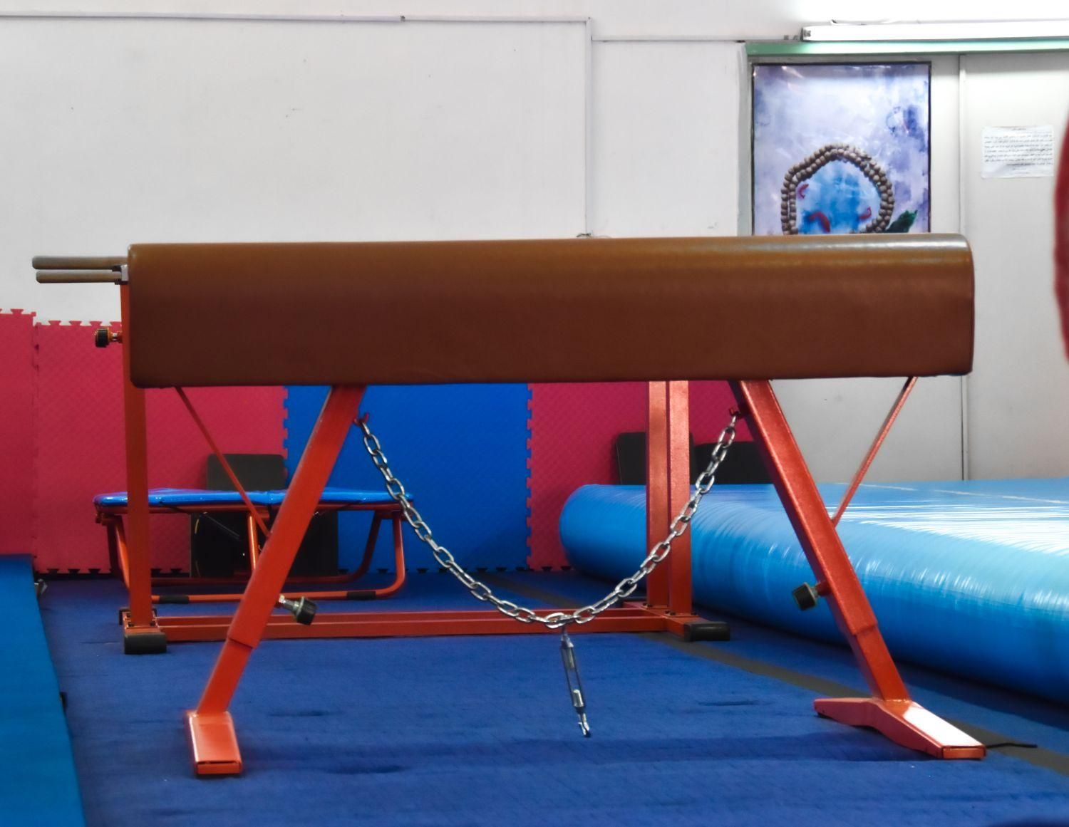 برا اولین بار درسبزوار باشگاه تخصصی ژیمناستیک آرین|خدمات آموزشی|سبزوار, دانشگاه آزاد|دیوار